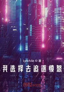 《我选择去追逐愤怒》小说封面