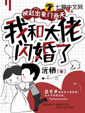 《被赶出豪门当天，我和大佬闪婚了》小说封面