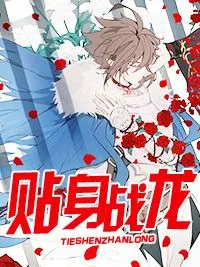 《陈河图唐莹》小说封面