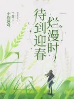 《待到迎春烂漫时》小说封面