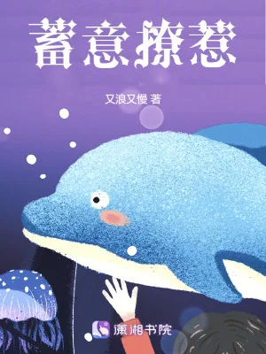 《蓄意撩惹》小说封面
