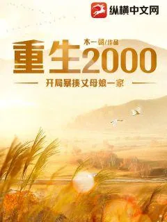 《重生2000:开局暴揍丈母娘一家》小说封面