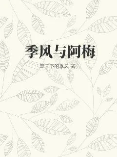《季风与阿梅》小说封面