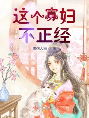 《这个寡妇不正经》小说封面