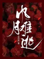 《风月难逃》小说封面
