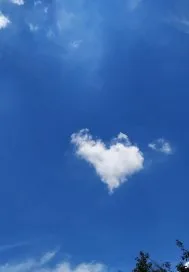 《别动我的实习生》小说封面