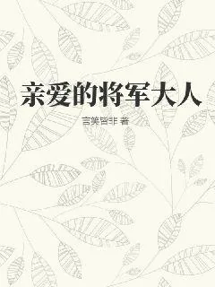 《亲爱的将军大人》小说封面