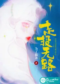 《走投无路》小说封面