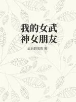 《我的女武神女朋友》小说封面