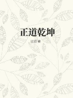 《正道乾坤》小说封面