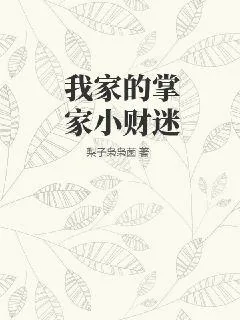 《我家的掌家小财迷》小说封面