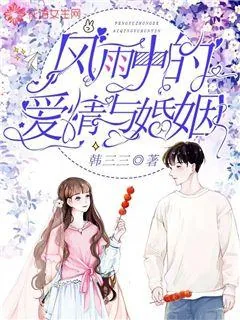 《风雨中的爱情与婚姻》小说封面