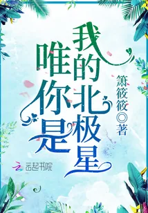 《唯你是我的北极星》小说封面