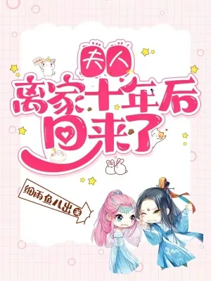 《夫人离家十年后回来了》小说封面