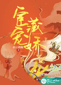 《宦宠藏娇》小说封面