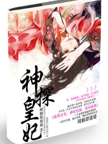 《神探皇妃》小说封面