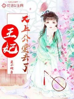《王妃又上公堂去了》小说封面