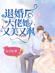《苏南卿》小说封面