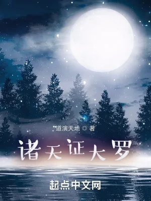 《诸天证大罗》小说封面