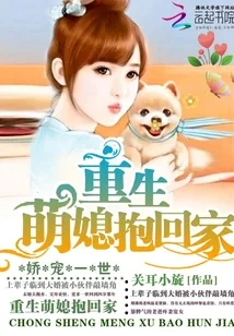 《重生九零掌上宝》小说封面