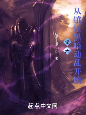 《诸天从镇压黑暗动乱开始》小说封面