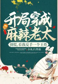 《开局穿成麻辣老太?别慌,看我反手一个王炸》小说封面