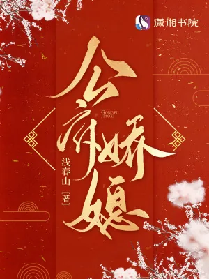 《公府娇媳》小说封面