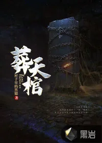 《葬天棺》小说封面