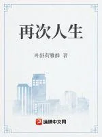 《再次人生》小说封面
