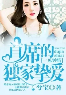 《一见钟情：首席的独家挚爱》小说封面