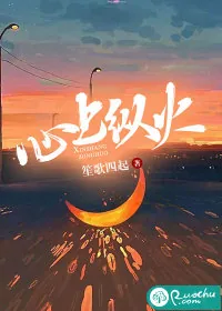 《心上纵火》小说封面