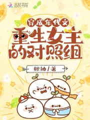 《穿成年代文重生女主的对照组》小说封面