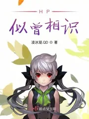 《HP似曾相识》小说封面
