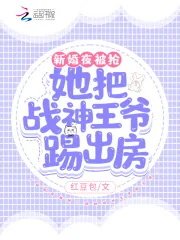 《新婚夜被抢！她把战神王爷踢出房》小说封面