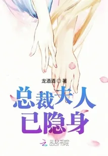 《总裁夫人已隐身》小说封面