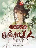 《开局成小妾，我被疯批美人PUA了》小说封面