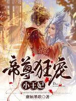 《帝尊狂宠小王妃》小说封面