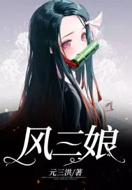《风三娘》小说封面