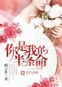 《你是我的半条命》小说封面