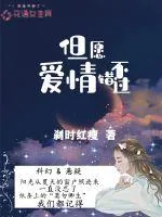 《但愿爱情不错过》小说封面