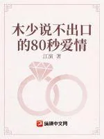 《与木先生的恋爱拉锯战》小说封面