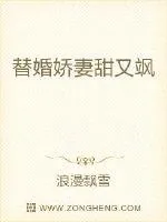 《替婚娇妻甜又飒》小说封面