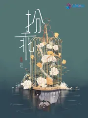 《扮乖》小说封面