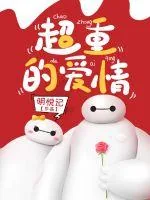 《超重的爱情》小说封面