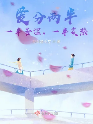 《爱分两半，一半苦涩，一半炙热》小说封面