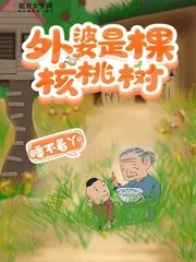 《外婆是棵核桃树》小说封面
