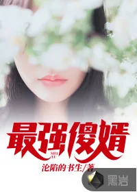 《最强傻婿》小说封面