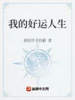 《我的好运人生》小说封面