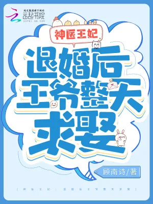 《神医王妃：退婚后王爷整天求娶》小说封面