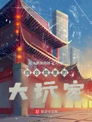 《四合院里的大玩家》小说封面